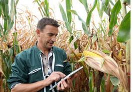 Agricultural business manager