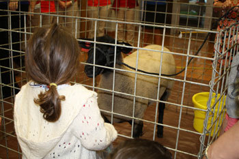 Michigan Reads! Kick off - child with a sheep