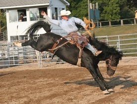 rodeo