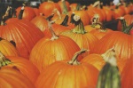 Pumpkins