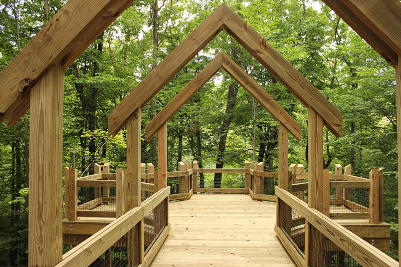 Overlook at Grand Ravines North 