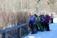 snowshoe group