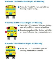 school bus rules