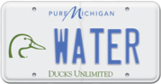 ducks plate