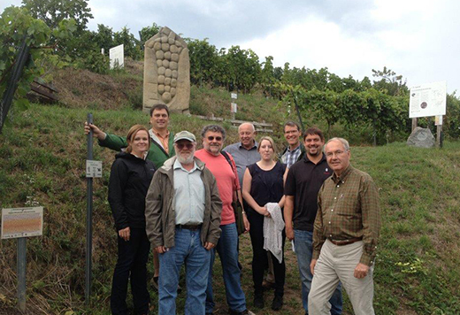 German wine grape research