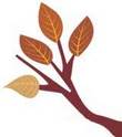 Tree branch