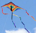 Kite