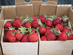 Strawberries