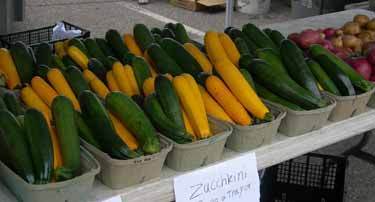 zucchini