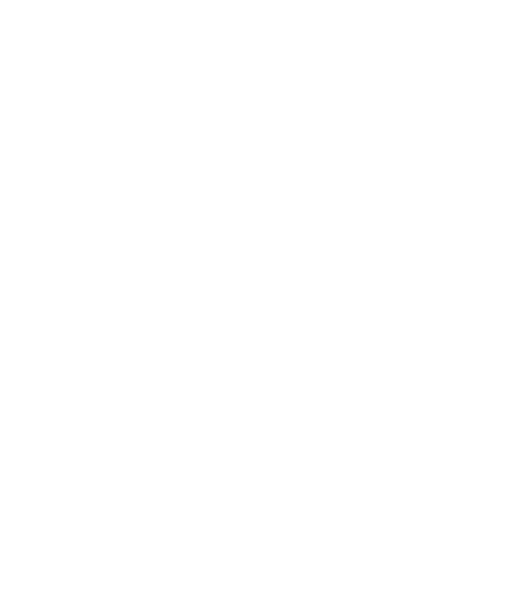 Burnsville White Logo Burnsville Logo