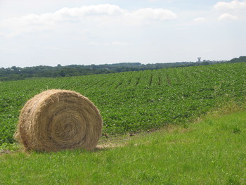 haybale