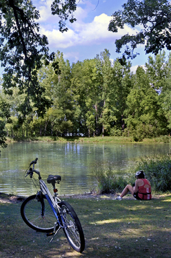 Biker by Colby Lake