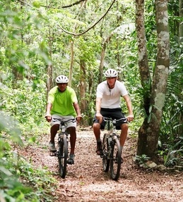 People riding bikes in the woods2