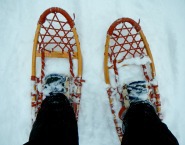 ARTICLE - List - snowshoe.jpg