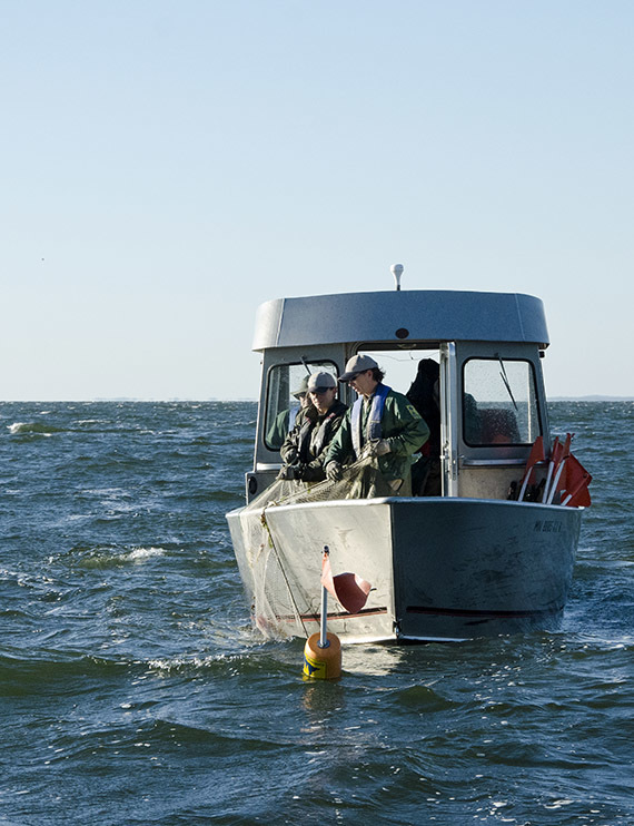 Mille Lacs fall assessment