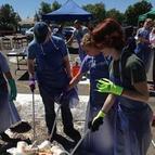 Lake Harriet waste audit
