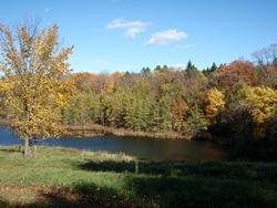 Camp Kingswood