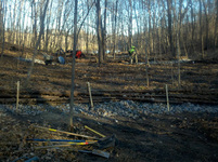 Camp Kingswood check dams