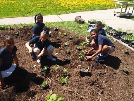 Planting a rain garden at Bethune School