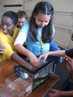 Children's Water Festival