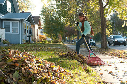 Raking leaves