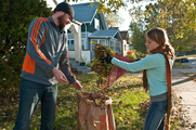Raking leaves for compost site