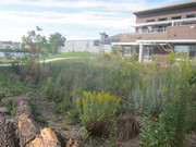 Mississippi Water Management Organization