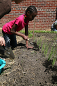 School garden