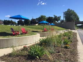 Flowers bloom in Henry's garden on the greenway