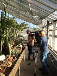 Olcott Park Greenhouse