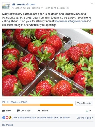Minnesota Grown - This Strawberry Facebook post from June reached 28,987 people!