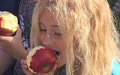 little girl biting into an apple