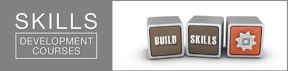 Header - Skills Development Courses with picture of 3 building blocks aligned horizontally which reads - build skills