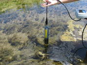 Water quality date used for assessment