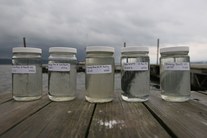 Grants available for water quality projects