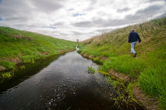 Minnesota examining nutrients in waters