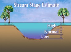 Stream Stage Estimate