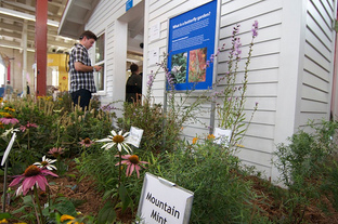 Landscaping for water quality