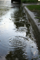 Stormwater fiushes pollutants into rivers
