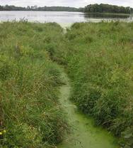 Swedes Lake in Upper Cannon watershed