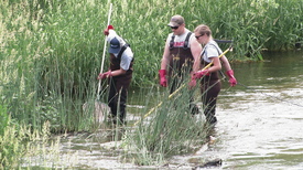 Biomonitoring image
