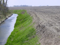 Ditch bank in Yellow Medicine River watershed