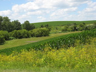 Root River watershed