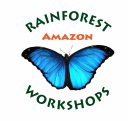 Amazon Rainforest Workshop