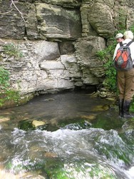 Odessa springs in southeast Minnesota