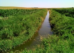 King Creek in South Fork Crow River watershed