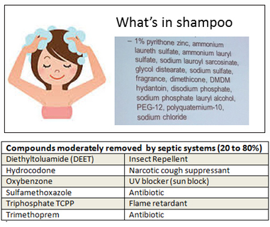 shampoo3
