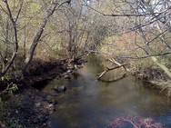 Buffalo River Watershed