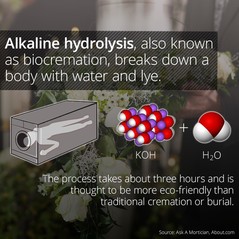 Alkaline Hydrolysis