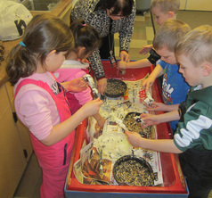 Constructing feeders